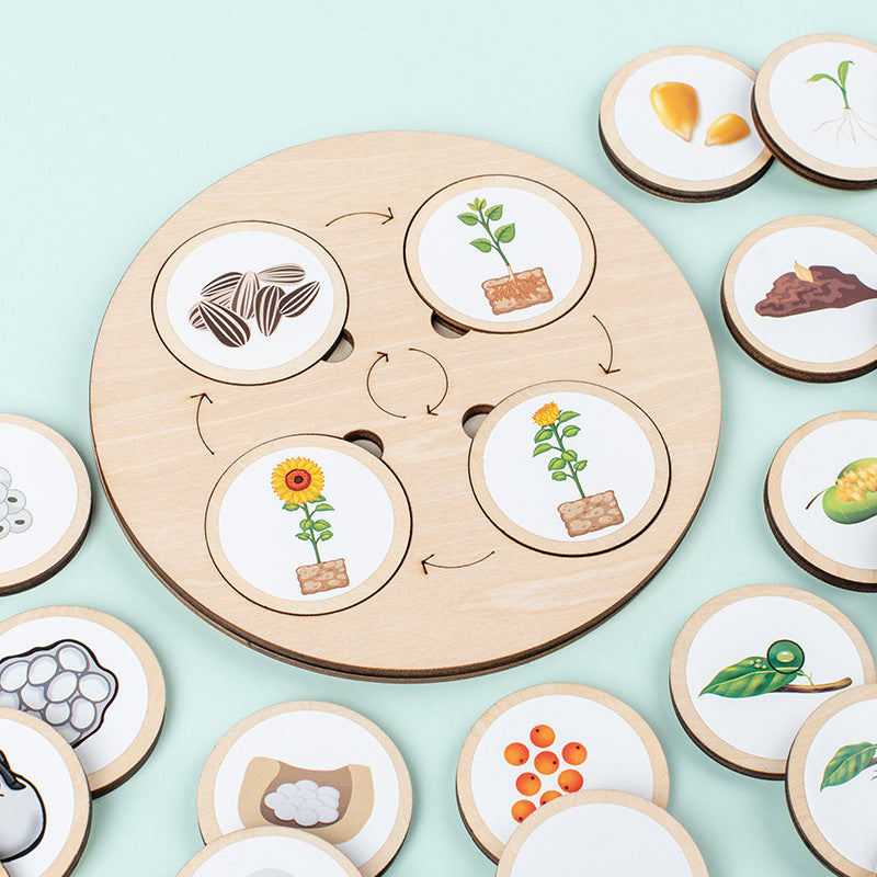 Wooden Life Cycle Toy Tray for Kids, Learning & Educational Toys Puzzles for Toddler, Montessori Homeschool Preschool Science Learning Activities Toys for Age 3 4 5 6 7 8+