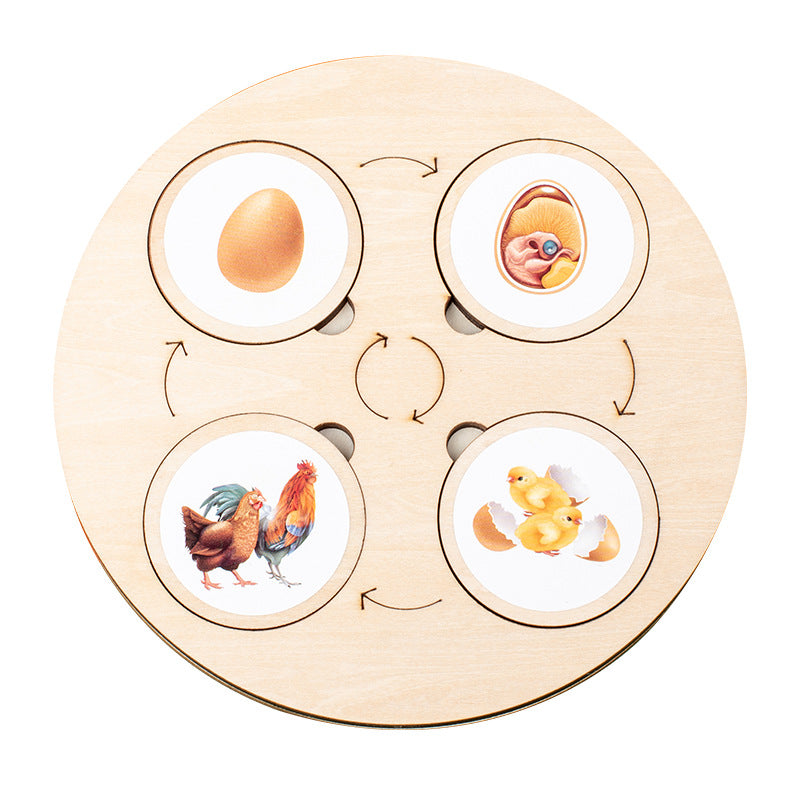 Wooden Life Cycle Toy Tray for Kids, Learning & Educational Toys Puzzles for Toddler, Montessori Homeschool Preschool Science Learning Activities Toys for Age 3 4 5 6 7 8+